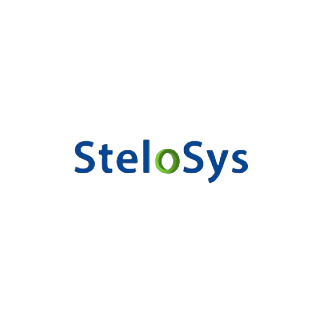 Digital Marketing Agency In Canada Stelosys 5