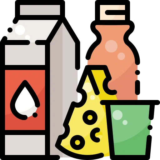 dairy products dairy products