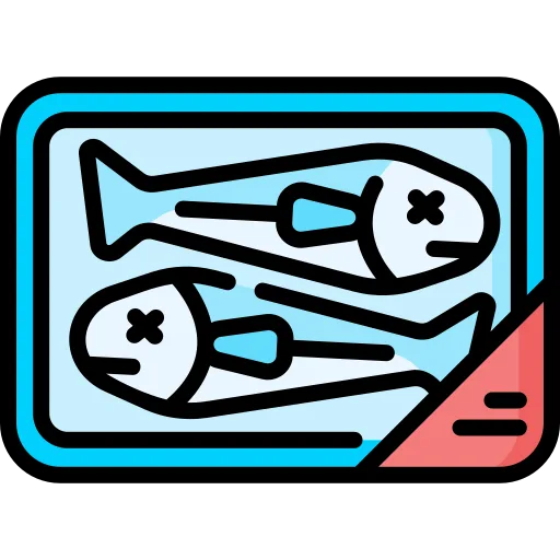 fish fish