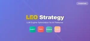 LEO Strategy LEO strategy